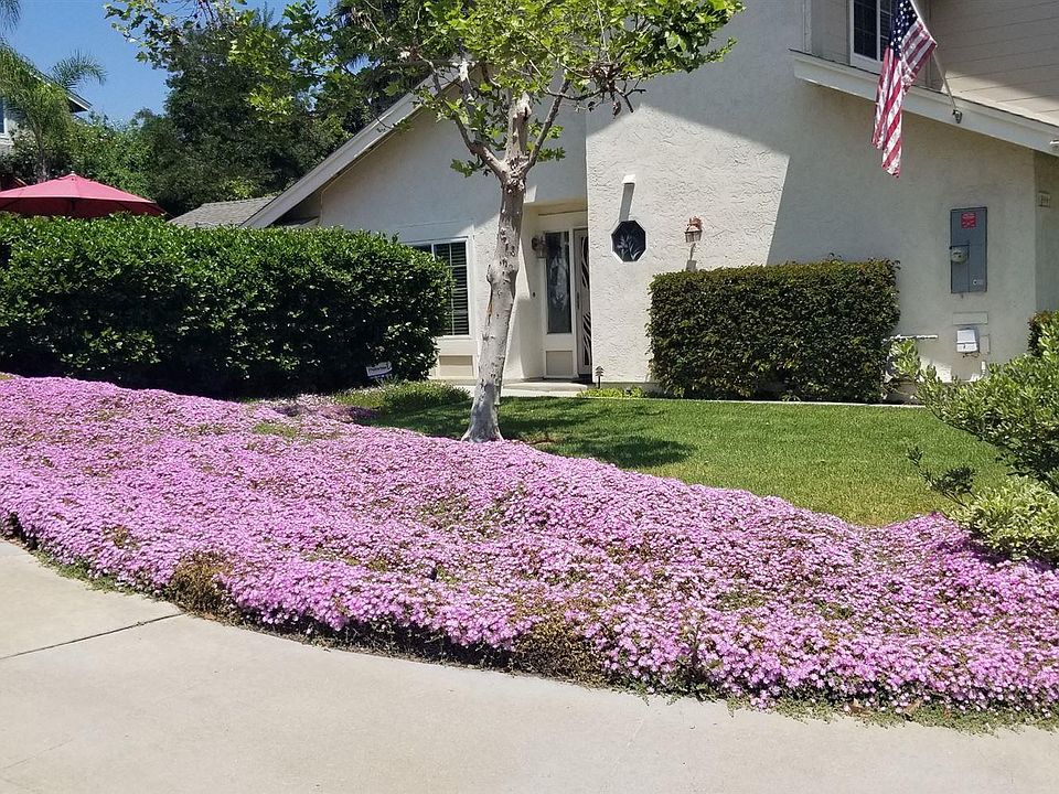 1st image of 7906 Mission Manzana Pl
