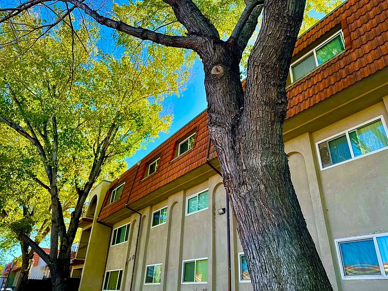 Sherwood Forest Apartments — Photo 41