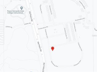 8119 Greenway Ave, Wesley Chapel, FL 33544