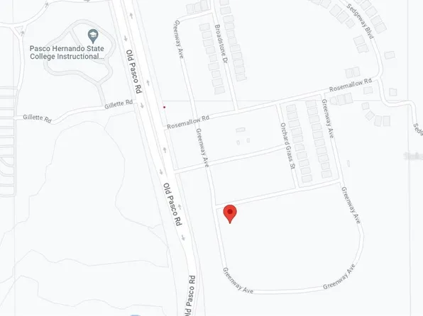 8119 Greenway Ave, Wesley Chapel, FL 33544