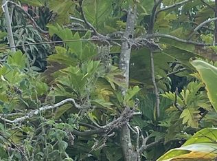 89-843 Private Rd LOT 29, Captain Cook, HI 96704