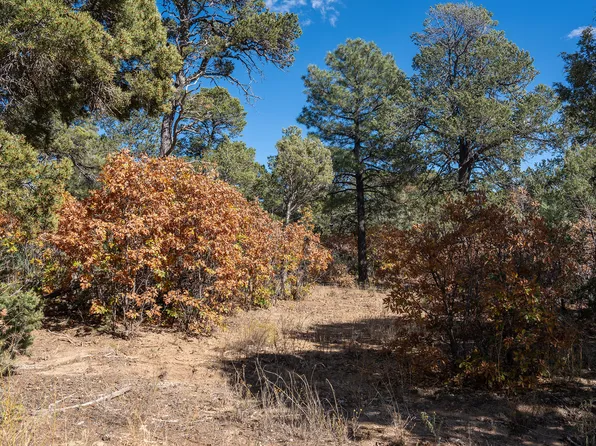 Nichols Ct, Tijeras, NM 87059