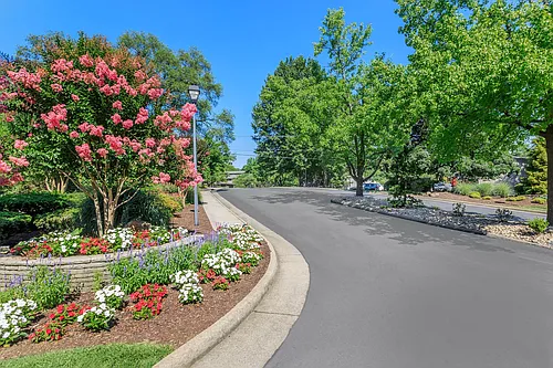 3101 Honeywood Ln Photo 1