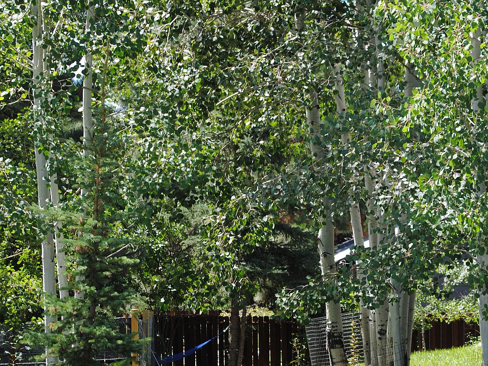 2nd image of 150 Aspen Dr
