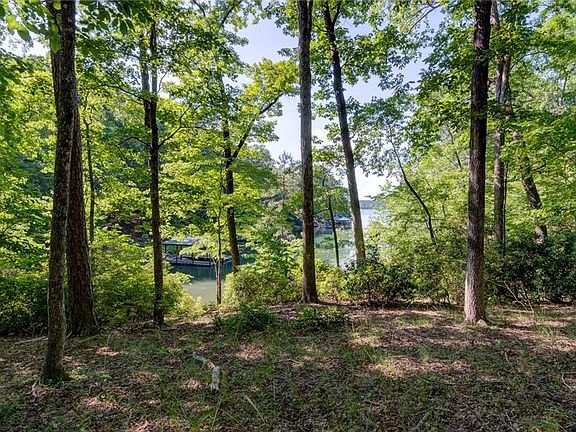 5th image of 132 Big Creek Trl