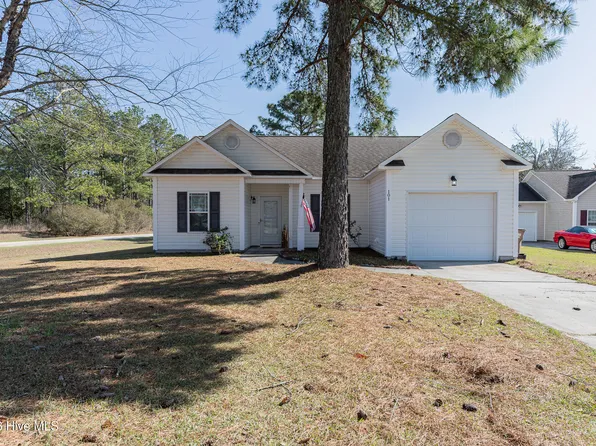 101 Boysenberry Fields Road, Maple Hill, NC 28454