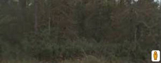 2nd image of 4375 Kristen St