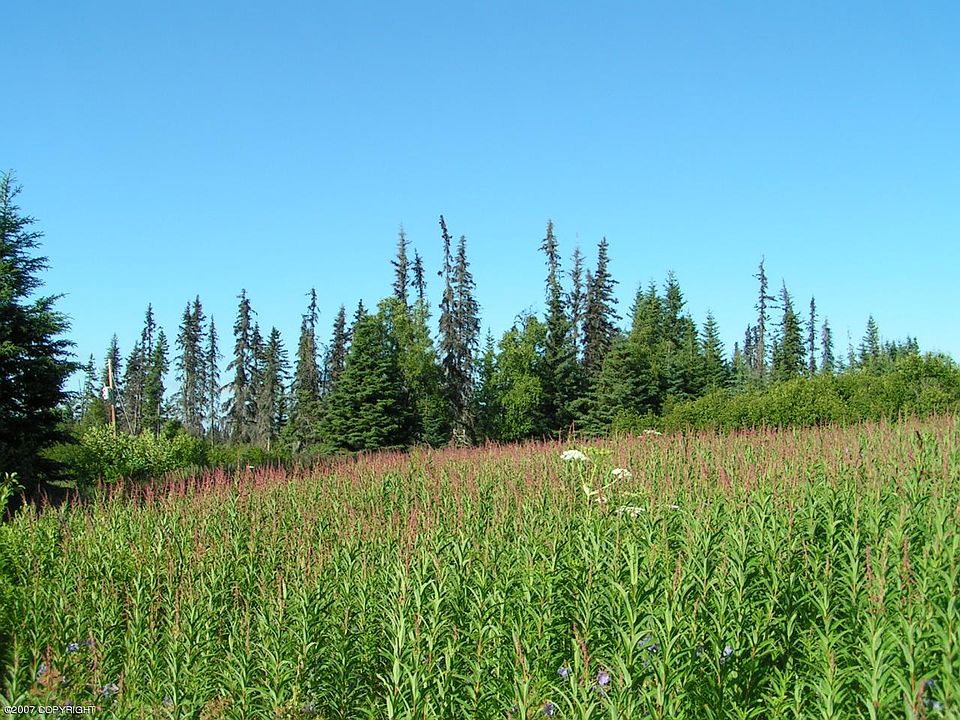 2nd image of L7 N Fork Rd