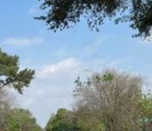 Exterior Neighborhood (street photo)