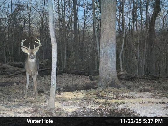 3rd image of Tony Rd Lot Wp001