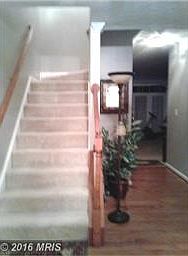 Lower Hallway/Foyer