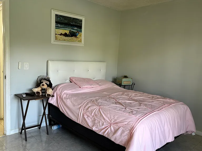 243 Northampton St #M — Photo 5