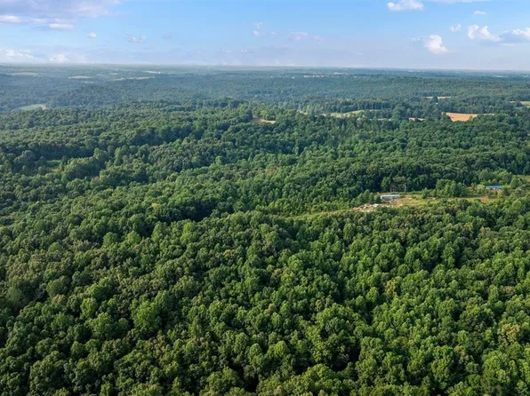 0 Reels Rd, Adolphus, KY 42120