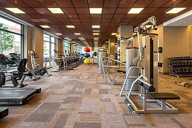 Rented by Luxury Apartments LIC