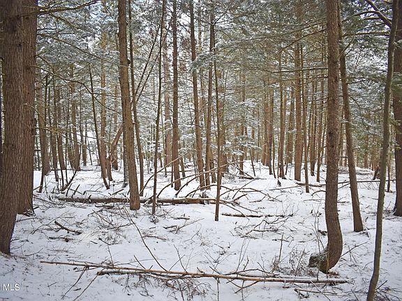 5th image of 22 Carriage Knolls Road