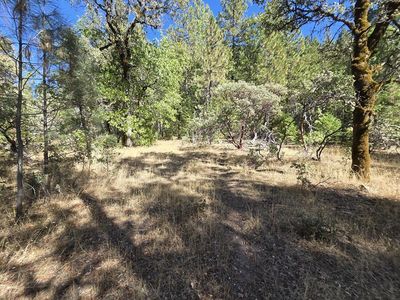 LOT 158 Bridger Way, Oak Run, CA, 96069