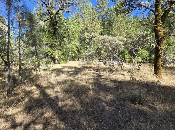 LOT 158 Bridger Way, Oak Run, CA 96069