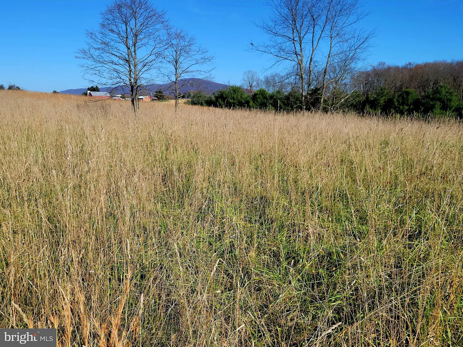 14919 White Oak Rdg photo 1