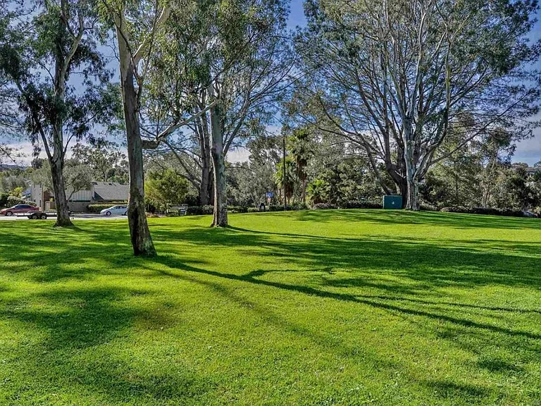 8017 Caminito Gianna — Photo 4