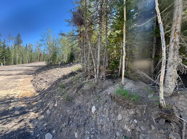 248 E Snowman Dr Unit B Blk C Lot 7, Brian Head, UT 84719