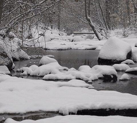 Backyard creek in winter