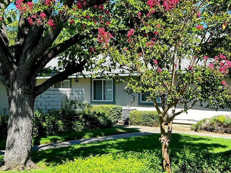 - Rosewood Village - — Photo 49