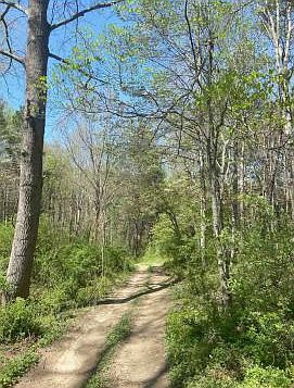 2nd image of LOT 31 Wye Rd