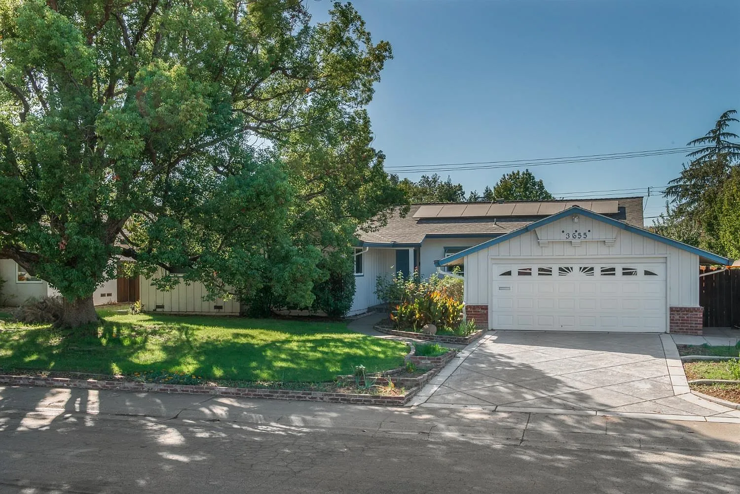 3655 Bausell St photo 1