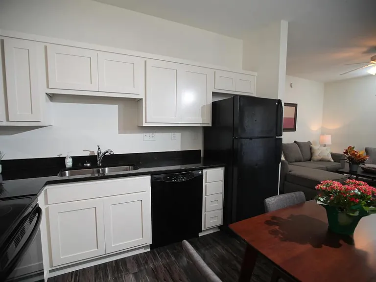 Old South Austin Apartments — Photo 11