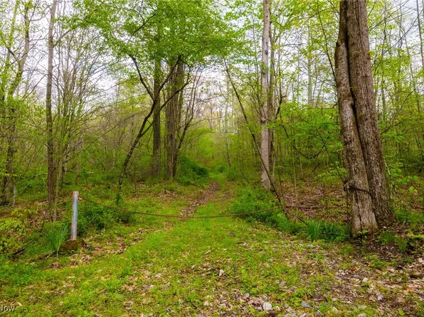 23350 Township Road 399, Coshocton, OH 43812