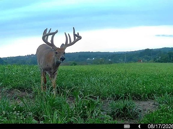 2nd image of 60936 Patch Rd