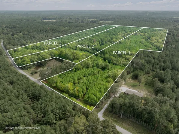 0 Davis Rd, Purvis, MS 39475