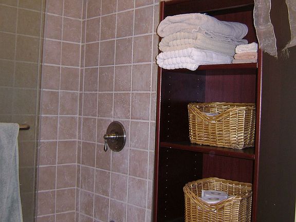 Rain Can Shower Head & Frameless Glass Shower Doors