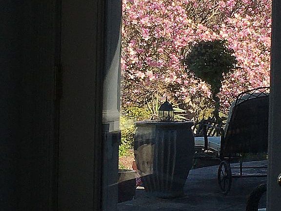 2nd image of 13413 106th Dr SE