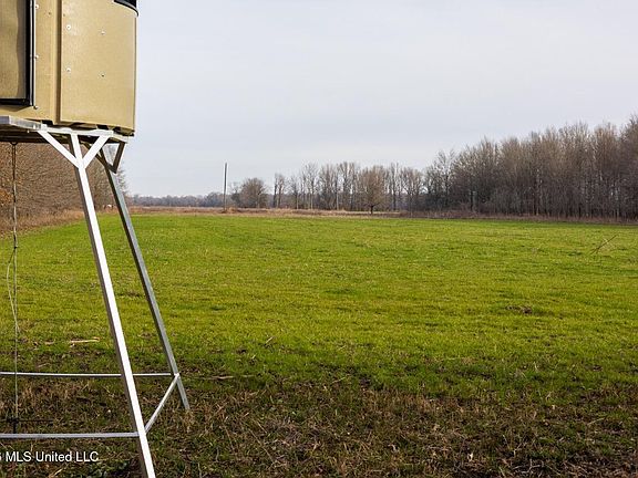 66th image of this home