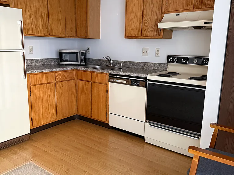 Kitchen furnished with range with full-size oven, range hood, dishwasher, garbage disposal unit, fridge and microwave