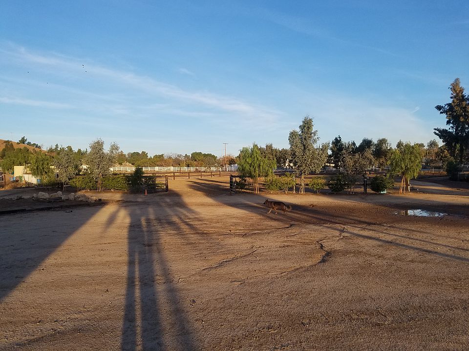 watered 115x220 arena