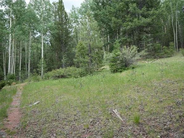 1406 Monarch Drive, Cripple Creek, CO 80813