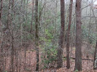 29 Coyote Cv, Hayesville, NC 28904