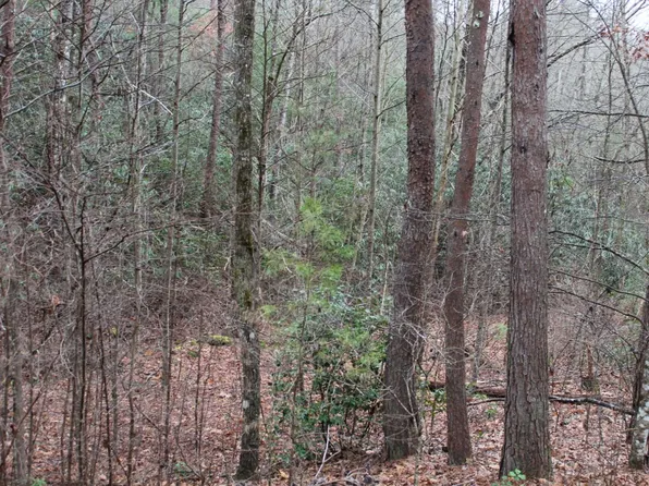 29 Coyote Cv, Hayesville, NC 28904