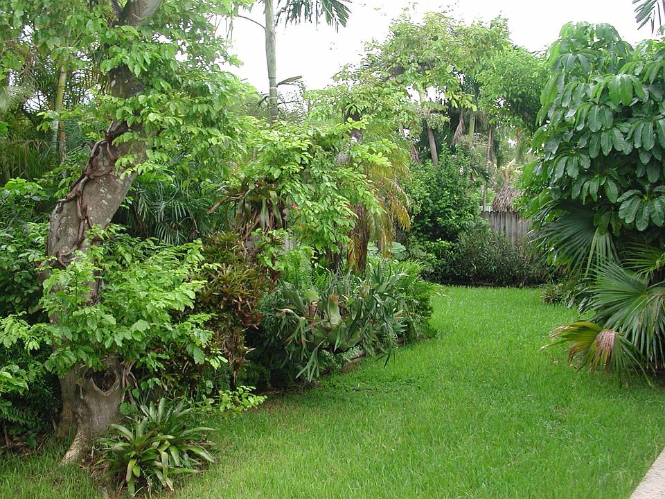 Right Back Yard