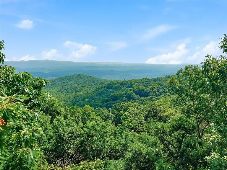 424 Sanderlin Mountain Dr — Photo 5