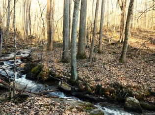 Martins Creek Rd, Barnardsville, NC 28709