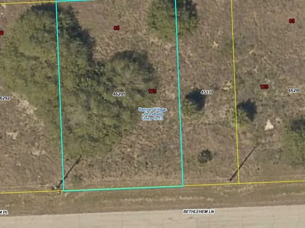 118 Bethlehem Pl, Labelle, FL 33935