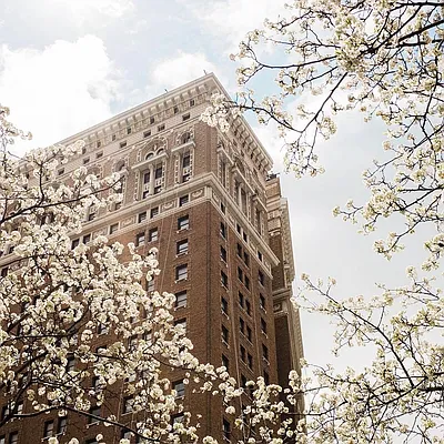 Rented by Herald Towers LLC | media 12