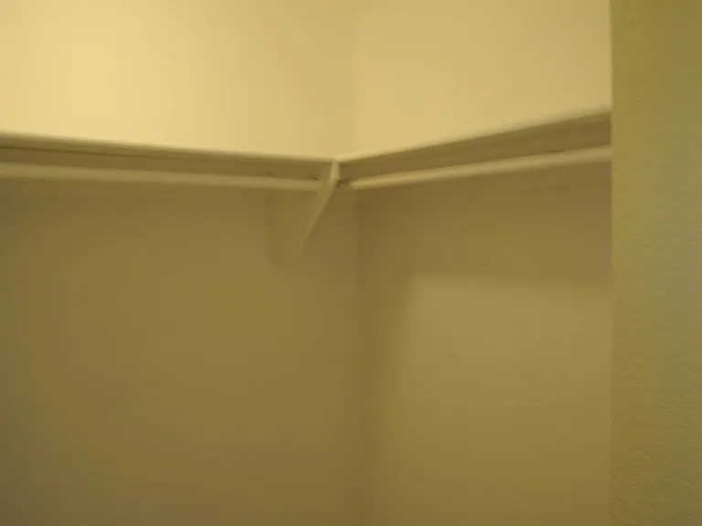 Large walk-in guest bedroom closet