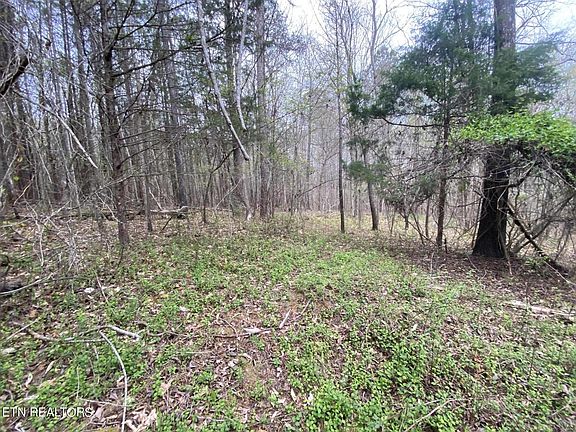 5th image of 357 County Road 669