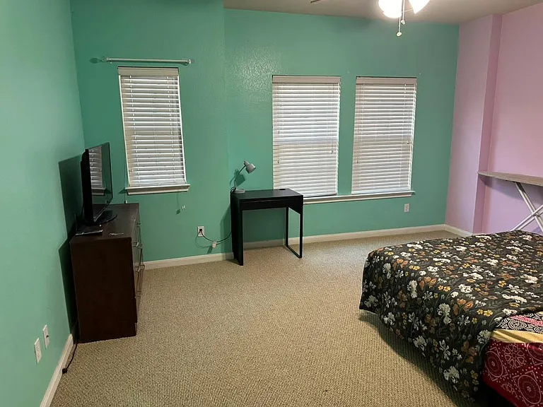 2995 Peacemaker St — Photo 23