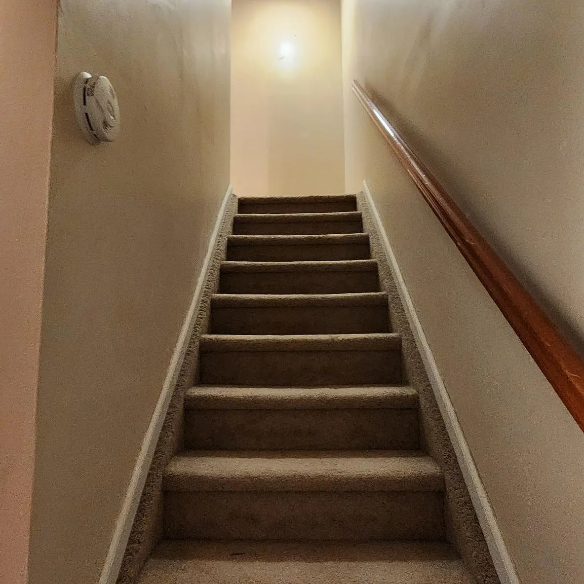 2 bed, 1.5 bath, 1152 sqft, $2,800 — Photo 4