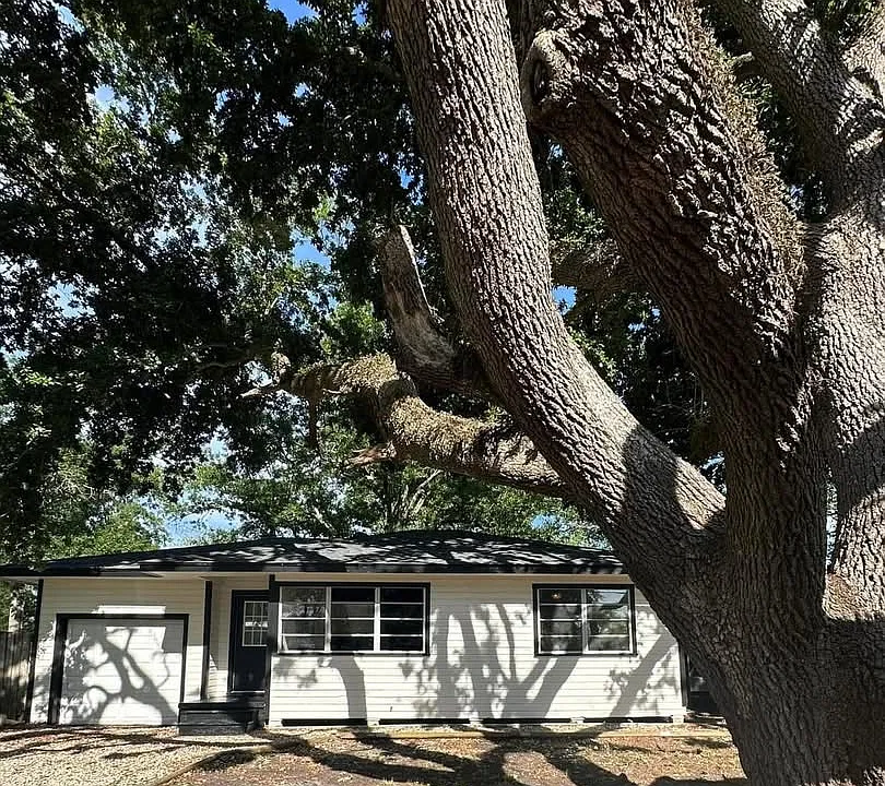 3338 Marguarite Dr